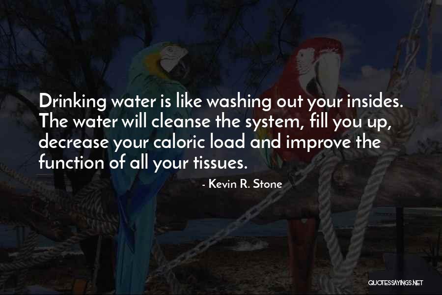 Kevin R. Stone Quotes 1851847