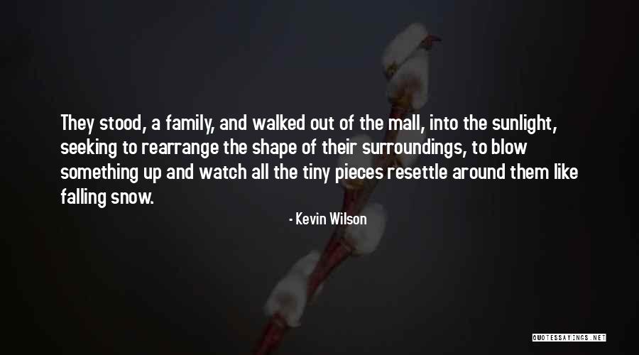 Kevin Wilson Quotes 2182818