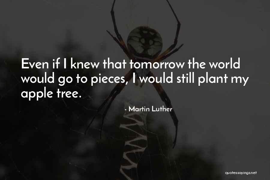 Keyence Quotes By Martin Luther Keyence Quotes By Martin Luther