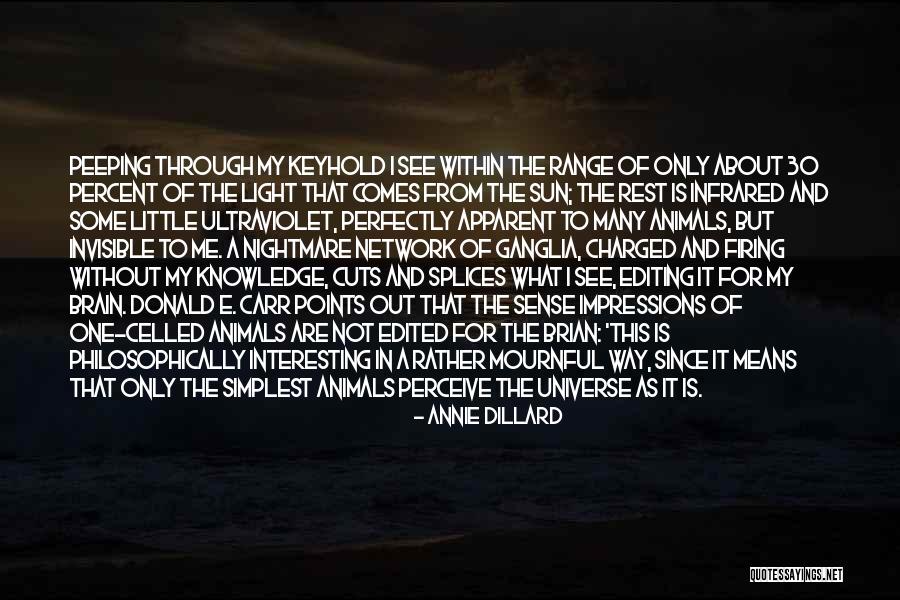 Keyhold Quotes By Annie Dillard Keyhold Quotes By Annie Dillard