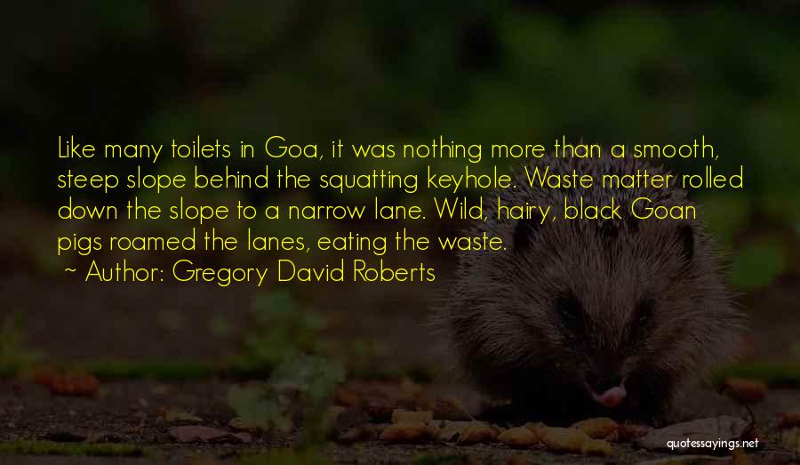 Keyhole Quotes By Gregory David Roberts