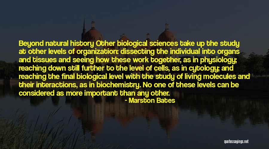Keyonna Antigua Quotes By Marston Bates Keyonna Antigua Quotes By Marston Bates