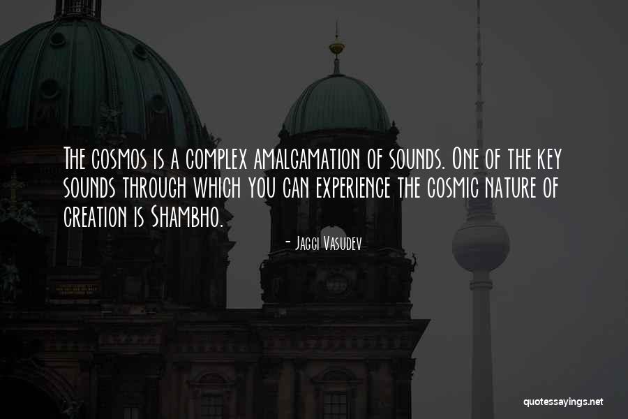 Keys Of Life Quotes By Jaggi Vasudev Keys Of Life Quotes By Jaggi Vasudev