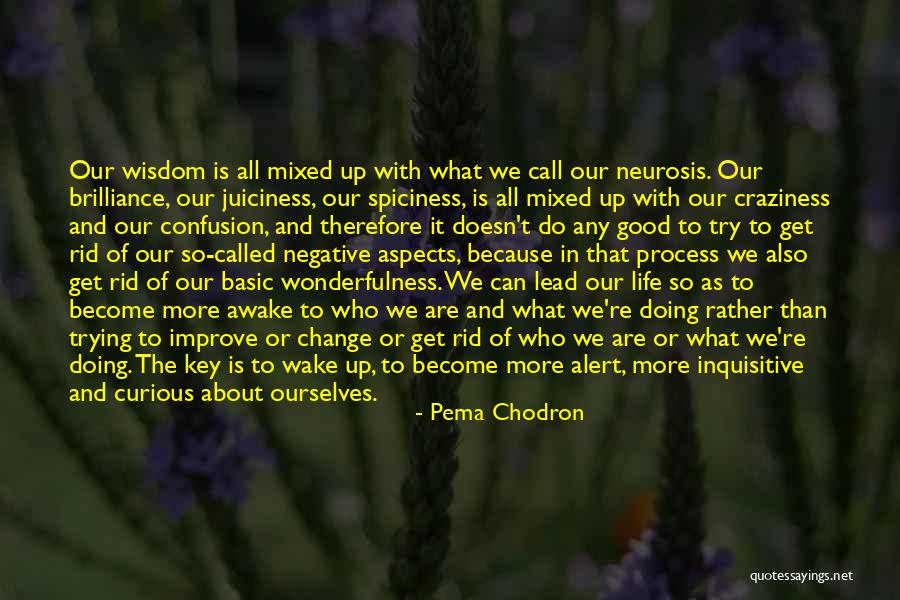 Keys Of Life Quotes By Pema Chodron Keys Of Life Quotes By Pema Chodron