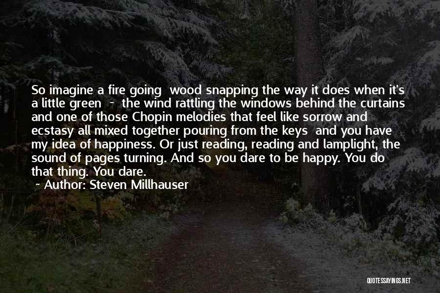 Keys To Happiness Quotes By Steven Millhauser