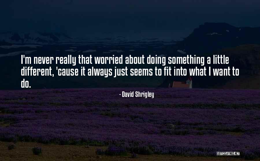 Keyway Quotes By David Shrigley Keyway Quotes By David Shrigley