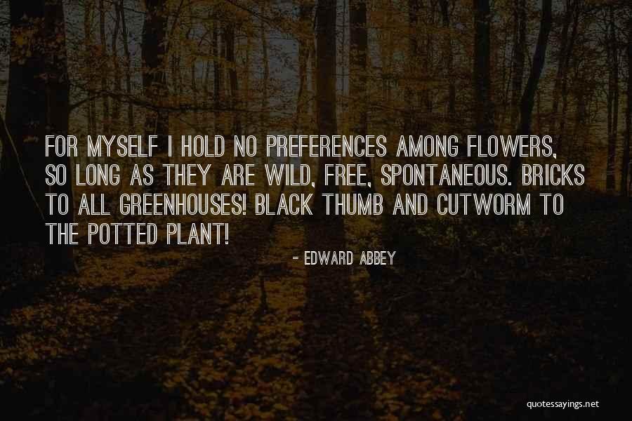 Kfir Aircraft Quotes By Edward Abbey Kfir Aircraft Quotes By Edward Abbey