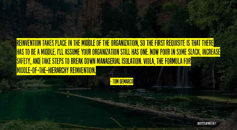 Kgalalelo Chabe Quotes By Tom DeMarco Kgalalelo Chabe Quotes By Tom DeMarco