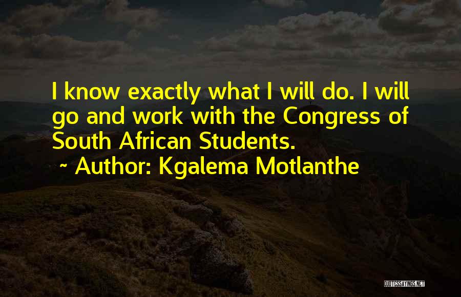 Kgalema Motlanthe Quotes 1164371