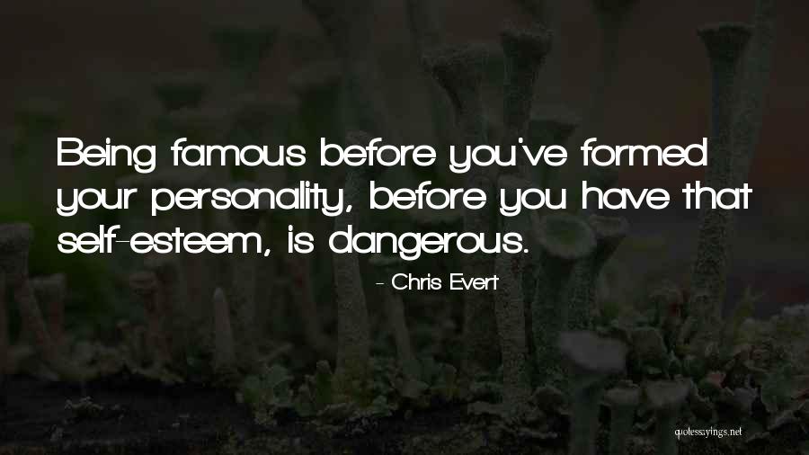 Khader Shamieh Quotes By Chris Evert Khader Shamieh Quotes By Chris Evert