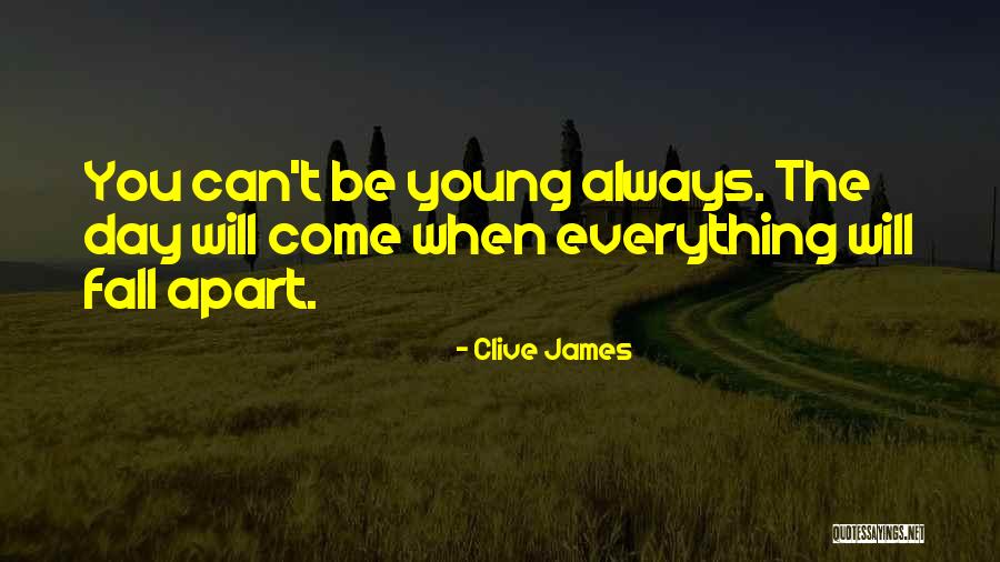 Khadijat Ogunbiyi Quotes By Clive James