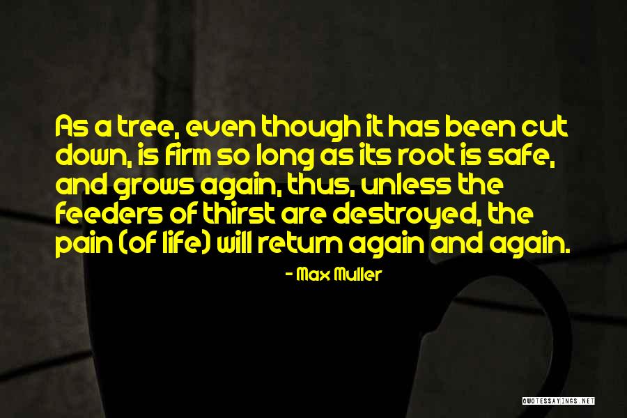 Khairlanji Quotes By Max Muller Khairlanji Quotes By Max Muller