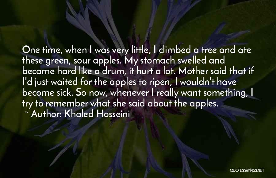 Khaled Hosseini Quotes 507260