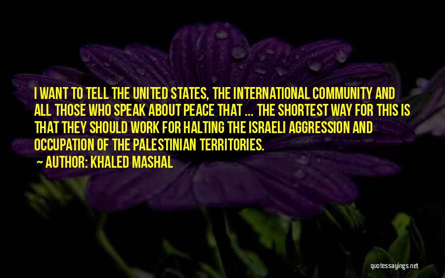 Khaled Mashal Quotes 1926317