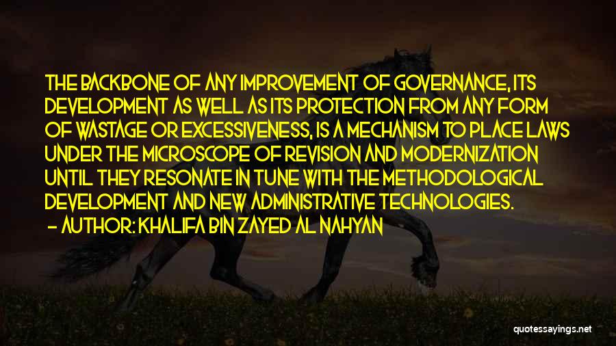 Khalifa Bin Zayed Al Nahyan Quotes 77072