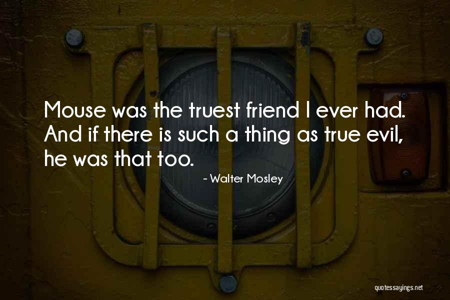 Khamseh Confederacy Quotes By Walter Mosley Khamseh Confederacy Quotes By Walter Mosley