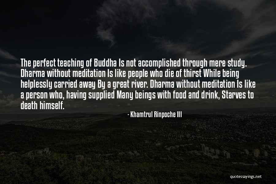 Khamtrul Rinpoche III Quotes 1102080