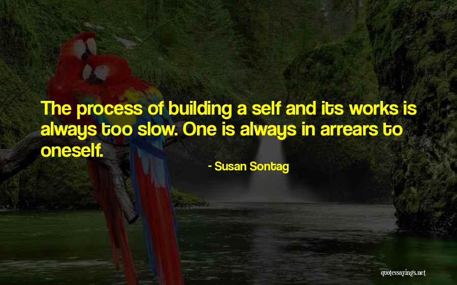 Khanye Mbhau Quotes By Susan Sontag Khanye Mbhau Quotes By Susan Sontag