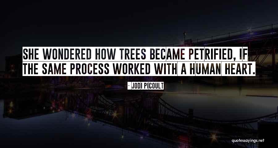 Kharkovchanka Quotes By Jodi Picoult Kharkovchanka Quotes By Jodi Picoult