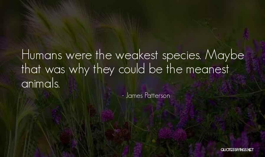 Khawatir Jamila Quotes By James Patterson Khawatir Jamila Quotes By James Patterson
