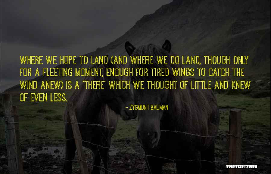 Khephra Sylvester Quotes By Zygmunt Bauman Khephra Sylvester Quotes By Zygmunt Bauman