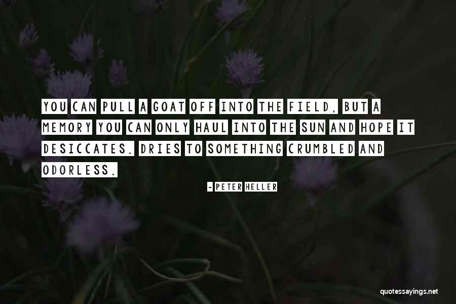 Khet Quotes By Peter Heller Khet Quotes By Peter Heller