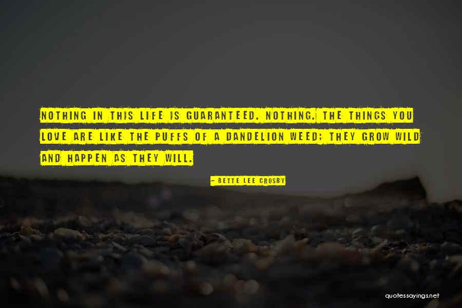 Khloe Kard Quotes By Bette Lee Crosby Khloe Kard Quotes By Bette Lee Crosby