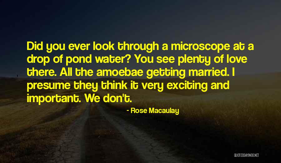 Khloe Kard Quotes By Rose Macaulay Khloe Kard Quotes By Rose Macaulay