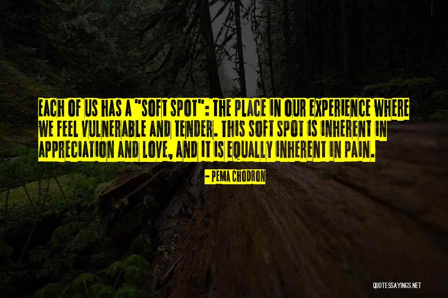 Khlong Phlu Quotes By Pema Chodron Khlong Phlu Quotes By Pema Chodron