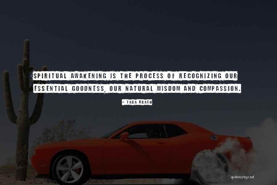 Khmais Tarnen Quotes By Tara Brach Khmais Tarnen Quotes By Tara Brach