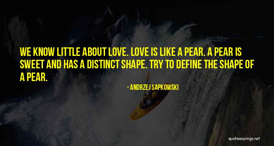 Khumbuzile Dlamini Quotes By Andrzej Sapkowski Khumbuzile Dlamini Quotes By Andrzej Sapkowski
