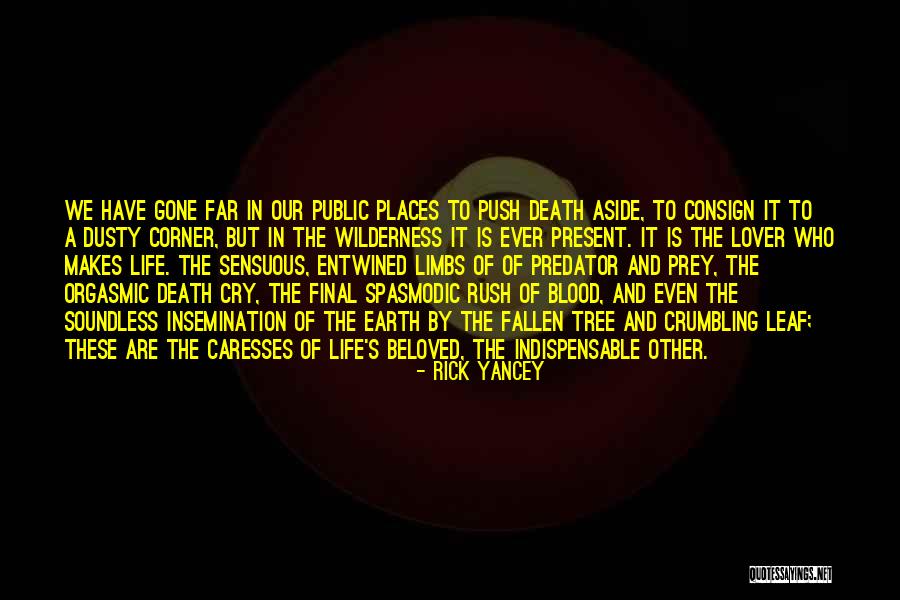 Khuzani Ijele Quotes By Rick Yancey Khuzani Ijele Quotes By Rick Yancey