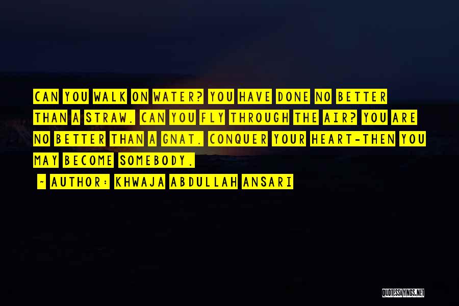 Khwaja Quotes By Khwaja Abdullah Ansari