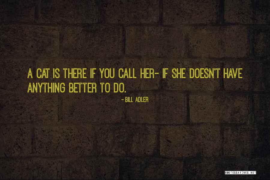 Kiamat Othman Quotes By Bill Adler Kiamat Othman Quotes By Bill Adler