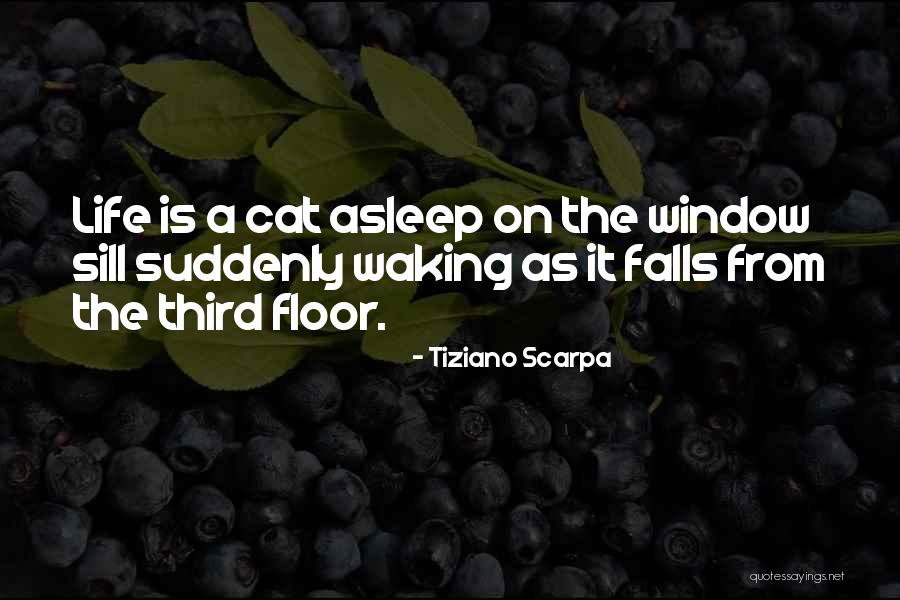 Kiarra Goldberg Quotes By Tiziano Scarpa Kiarra Goldberg Quotes By Tiziano Scarpa
