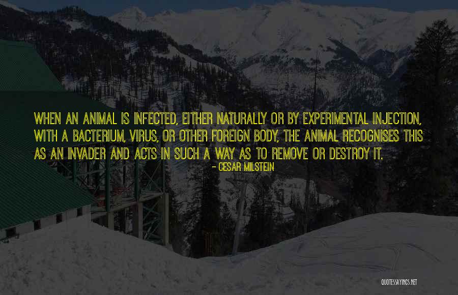 Kibarlikla Quotes By Cesar Milstein Kibarlikla Quotes By Cesar Milstein