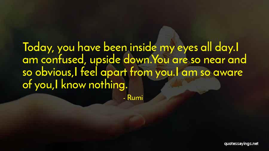Kibbey Wagner Quotes By Rumi Kibbey Wagner Quotes By Rumi