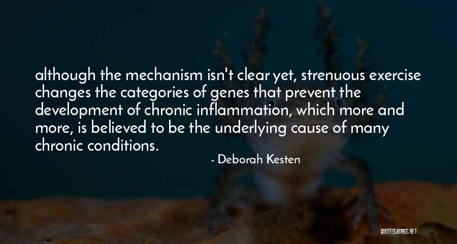 Kibitzer Pronunciation Quotes By Deborah Kesten Kibitzer Pronunciation Quotes By Deborah Kesten