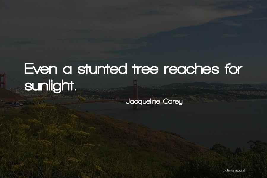 Kibreez Quotes By Jacqueline Carey Kibreez Quotes By Jacqueline Carey