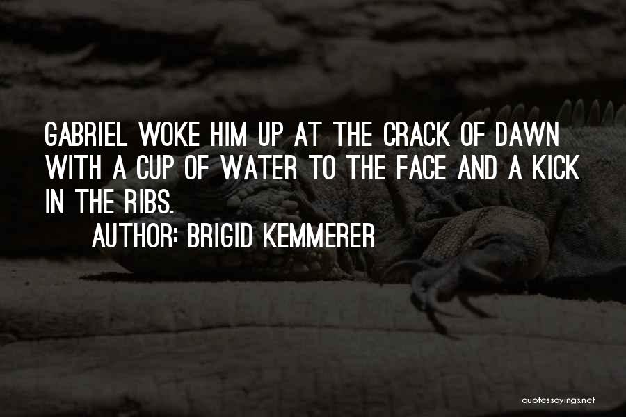 Kick In The Face Quotes By Brigid Kemmerer