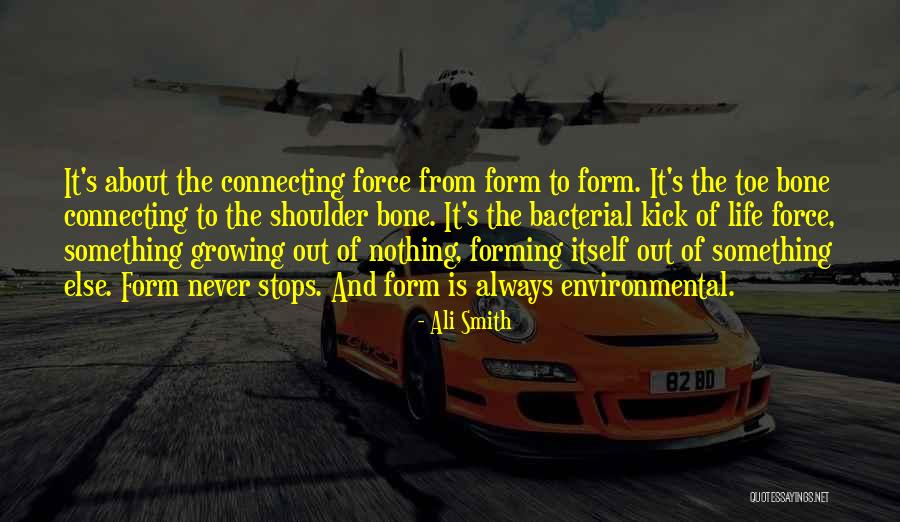 Kick Out Quotes By Ali Smith Kick Out Quotes By Ali Smith