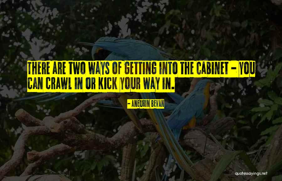 Kick Quotes By Aneurin Bevan Kick Quotes By Aneurin Bevan
