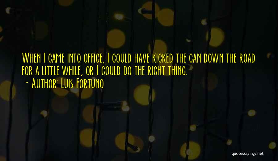 Kicked When Down Quotes By Luis Fortuno