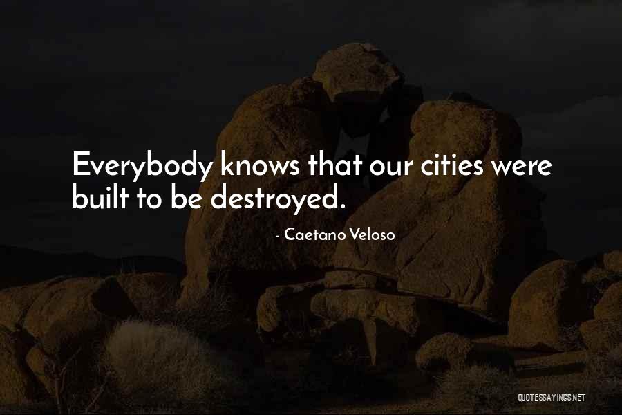 Kicksonfire Quotes By Caetano Veloso Kicksonfire Quotes By Caetano Veloso