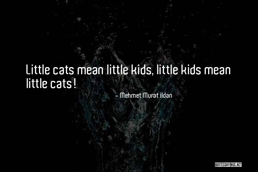 Kid Mean To Cat Quotes By Mehmet Murat Ildan Kid Mean To Cat Quotes By Mehmet Murat Ildan