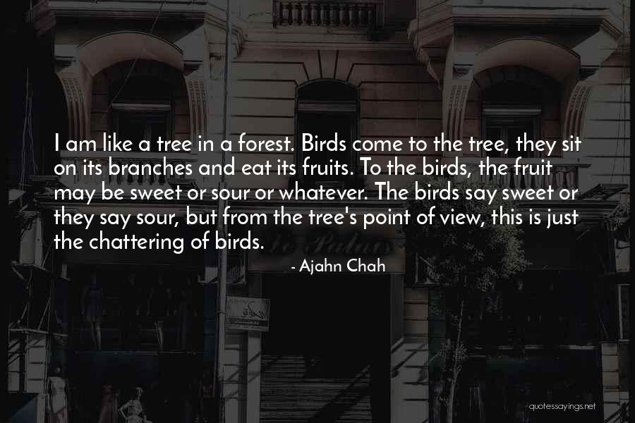 Kidders In Bbs Quotes By Ajahn Chah Kidders In Bbs Quotes By Ajahn Chah