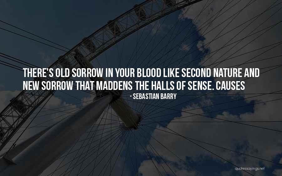 Kidgooroo Quotes By Sebastian Barry Kidgooroo Quotes By Sebastian Barry