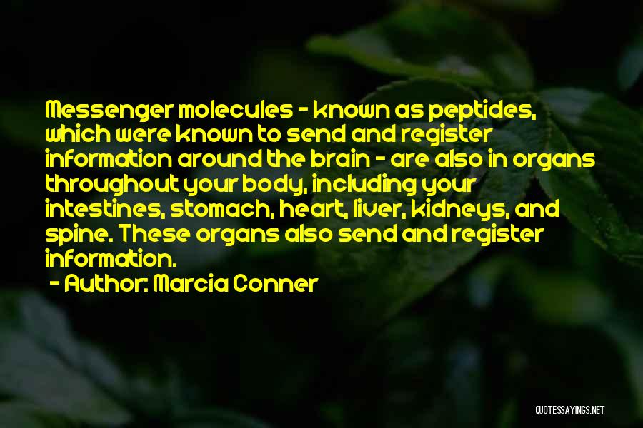 Kidneys Quotes By Marcia Conner