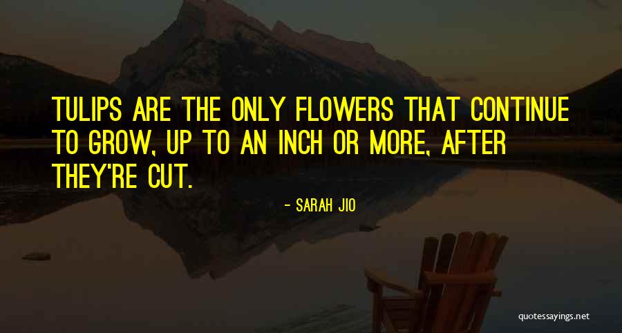 Kidogo Diamond Quotes By Sarah Jio Kidogo Diamond Quotes By Sarah Jio