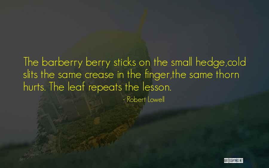 Kids Getting Older Quotes By Robert Lowell Kids Getting Older Quotes By Robert Lowell